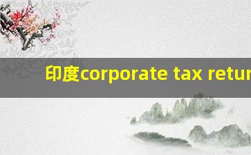 印度corporate tax return